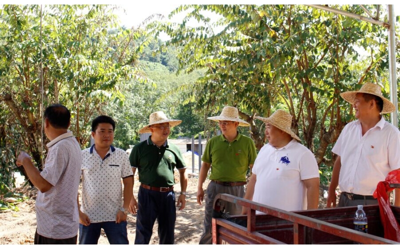 公司党政主要负责人将省国资委扶贫攻坚精神落实到扶贫点乐东县只文村