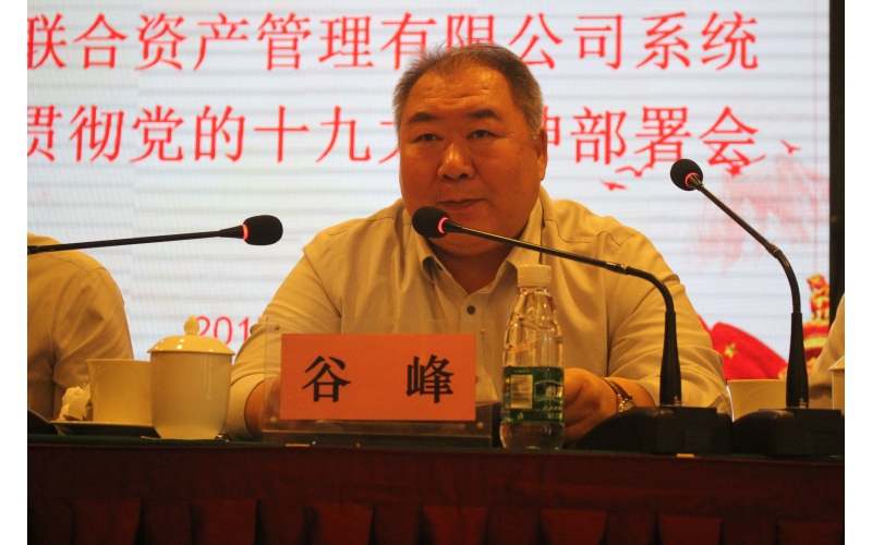 公司召开学习贯彻党的十九大精神部署会
