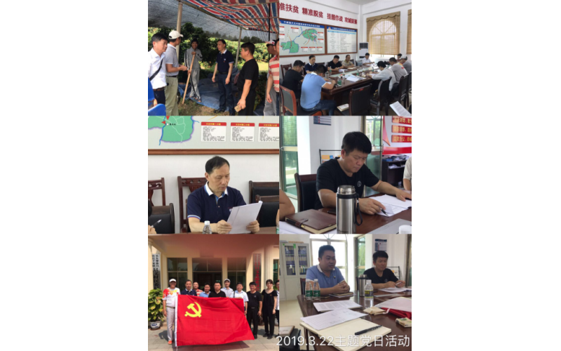 华琨党支部赴只文村开展主题党日活动