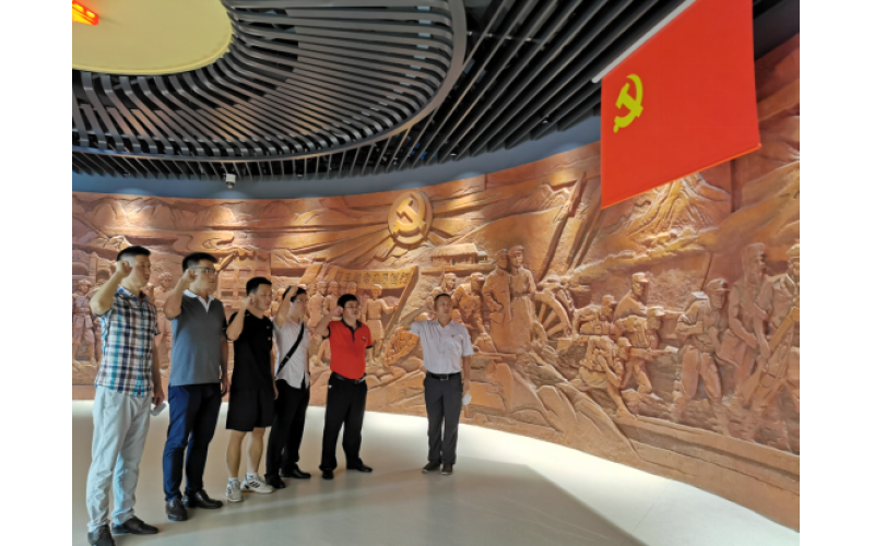 海口联合小额贷款有限公司党支部开展重温琼崖革命史 扬帆奋进自贸港红色教育日活动