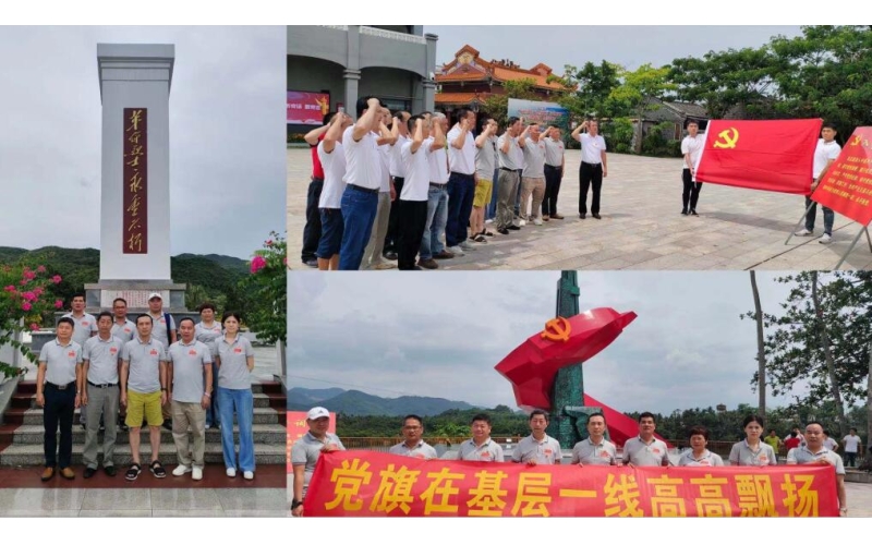 扶贫公司党支部开展“党旗在基层一线高高飘扬”主题党团日活动