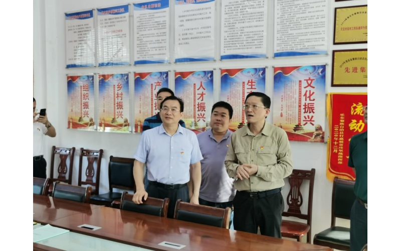 省国资委领导赴千家镇只文村调研乡村振兴工作