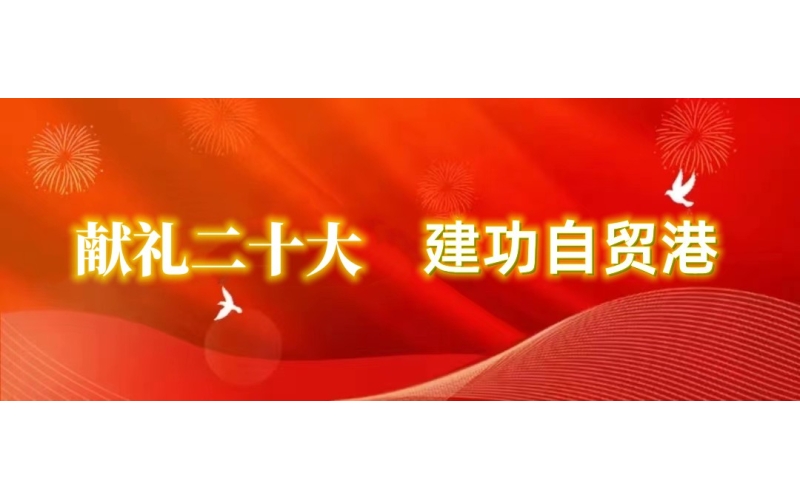【贯彻党的二十大精神进行时⑤】海南联合系统党员干部员工热议党的二十大报告（一）