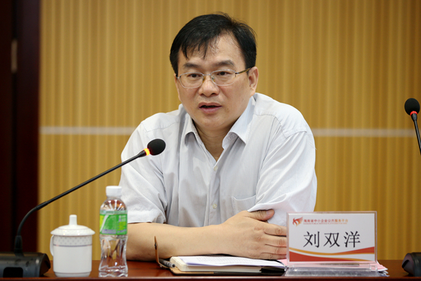 海南联合资产