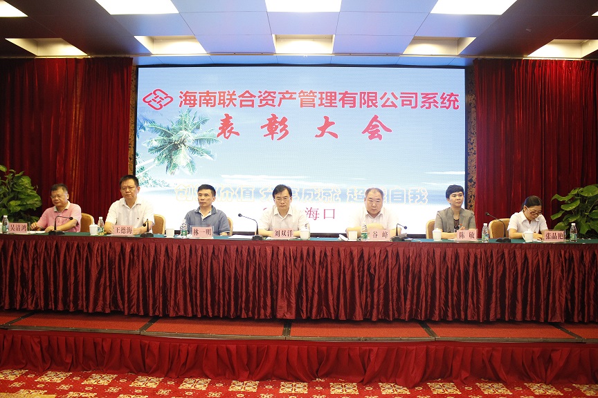 海南联合资产
