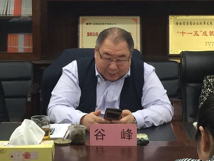 海南联合资产