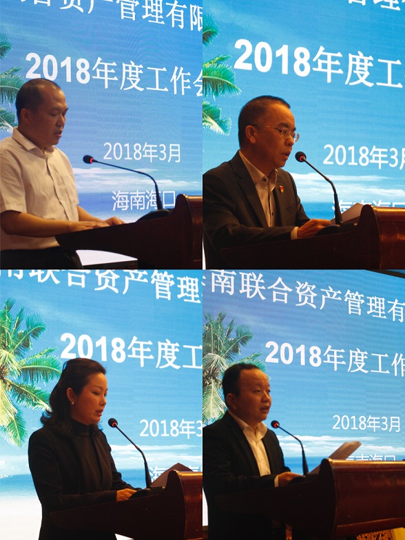 海南联合资产