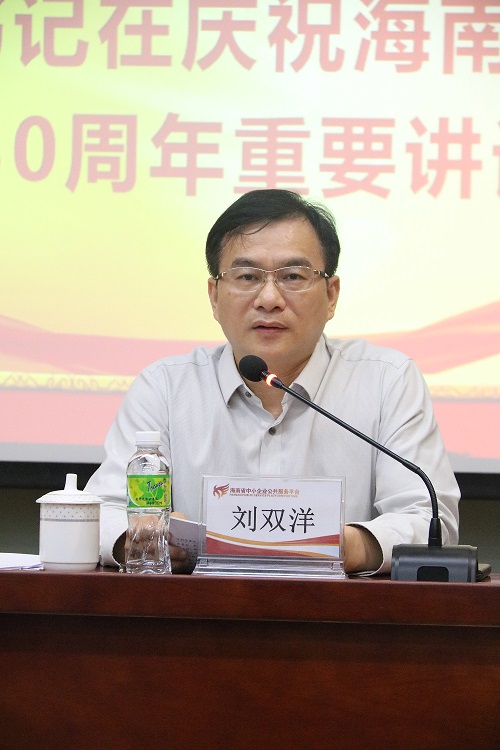 海南联合资产