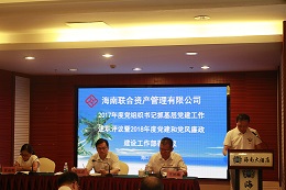 海南联合资产