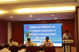 海南联合资产