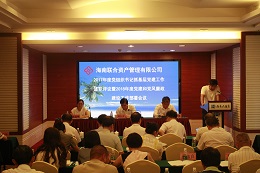 海南联合资产