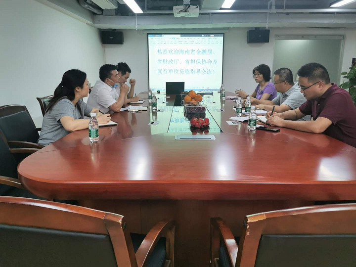 海南联合资产 海南联合资产