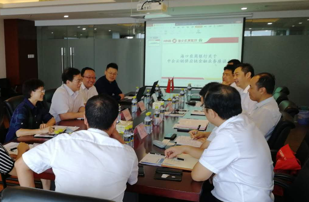 海南联合资产 海南联合资产