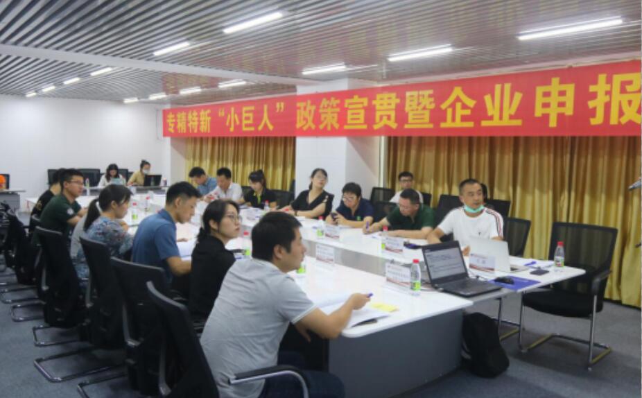 海南联合资产