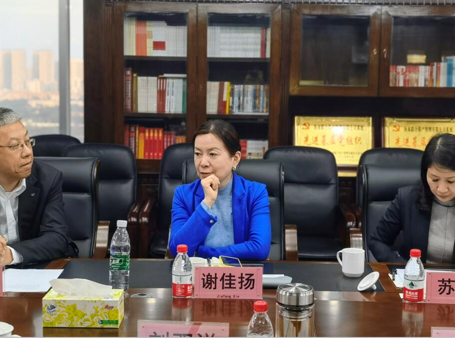 海南联合资产