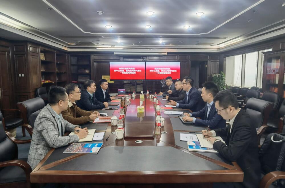 海南联合资产