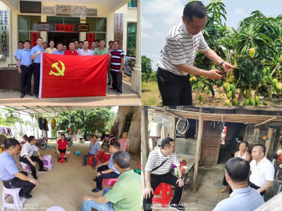 海南联合资产