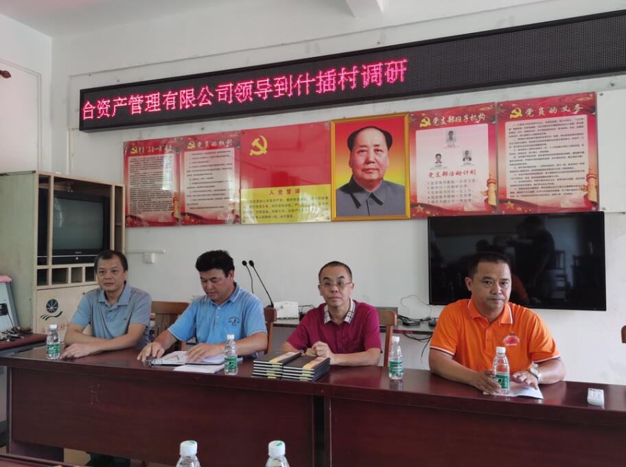 海南联合资产