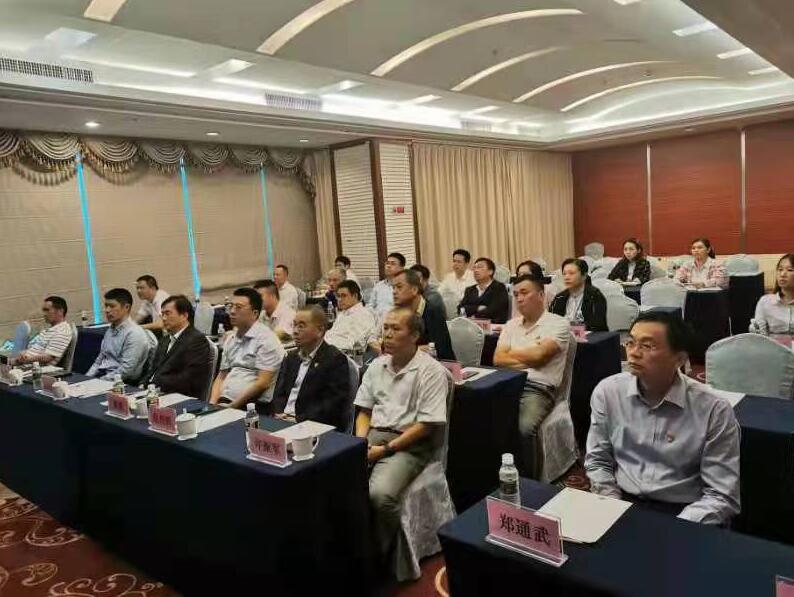 海南联合资产