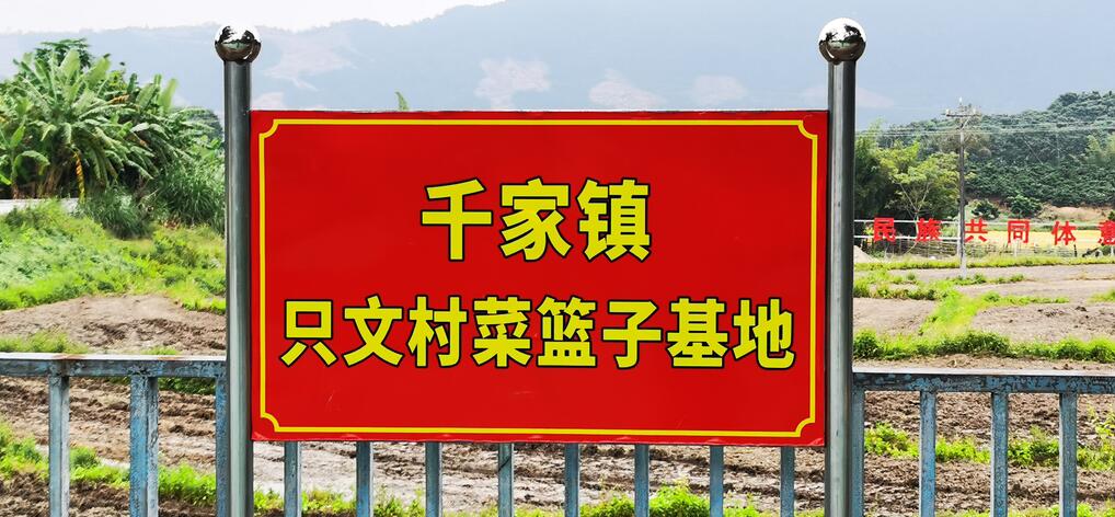 海南联合资产