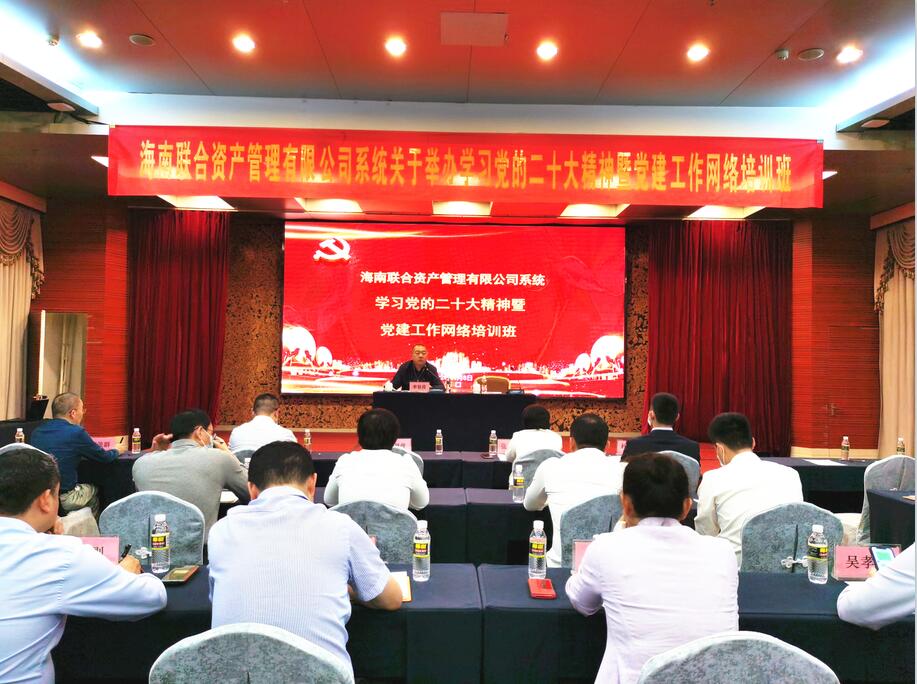 海南联合资产