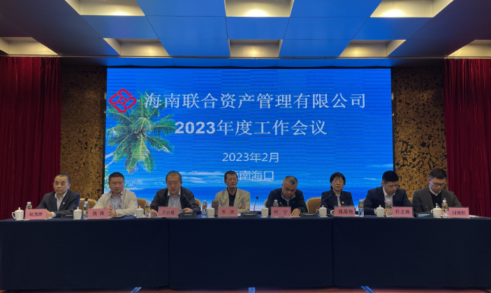 海南联合资产