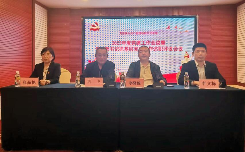 海南联合资产