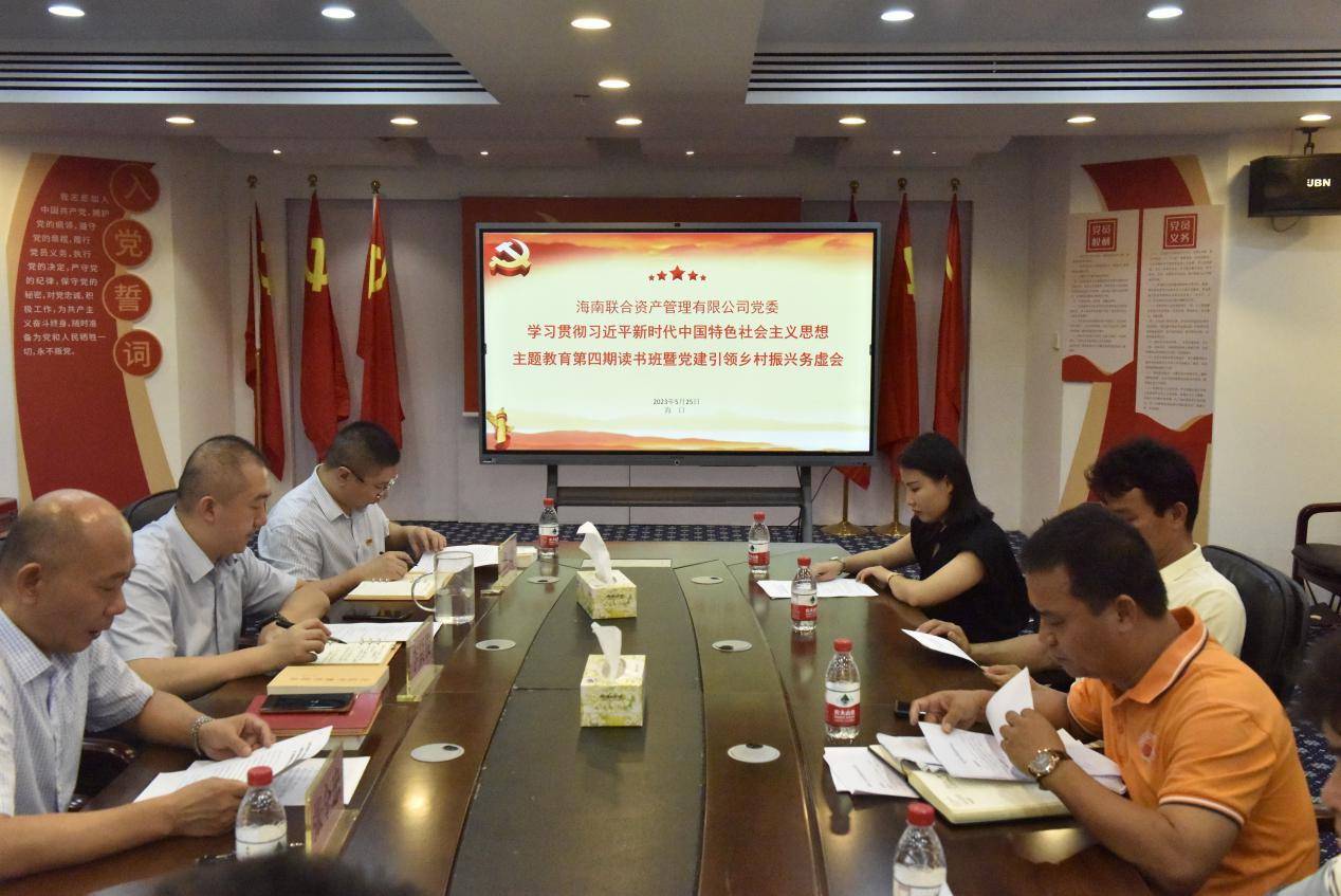 海南联合资产