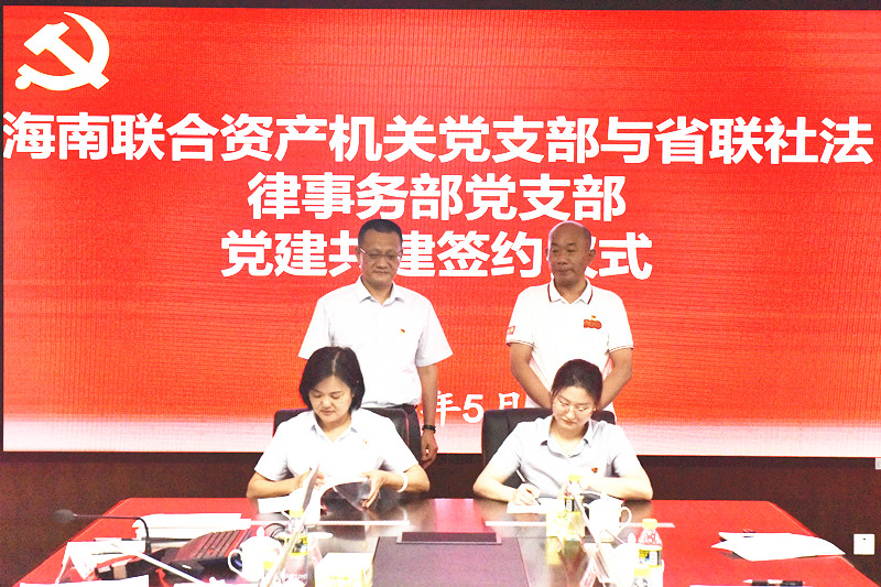 海南联合资产