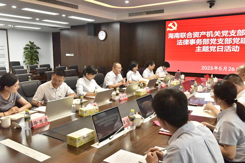 海南联合资产