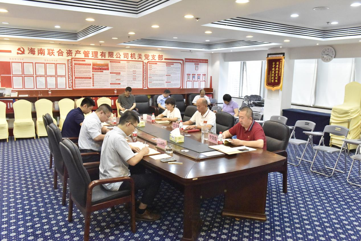 海南联合资产