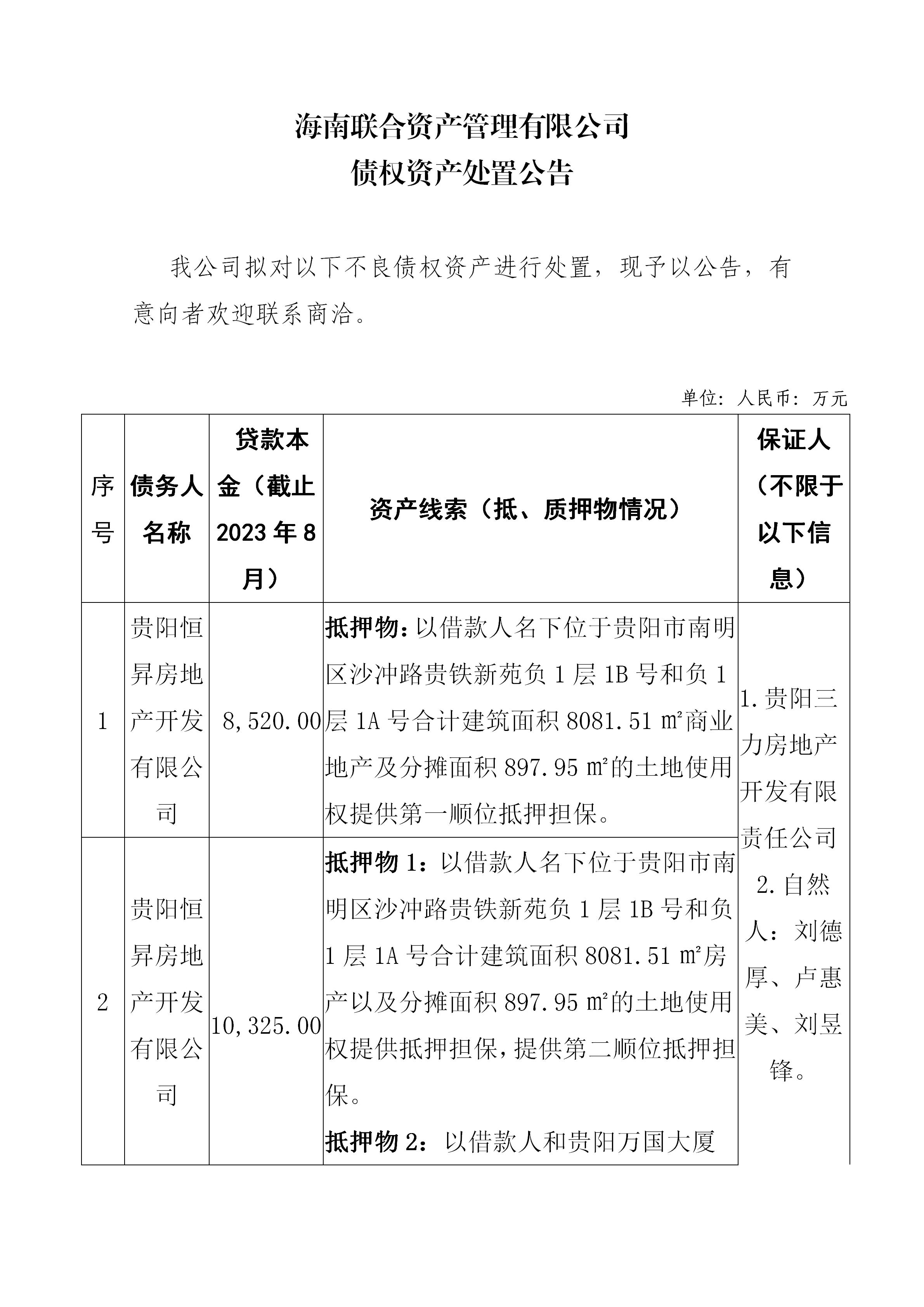 海南联合资产