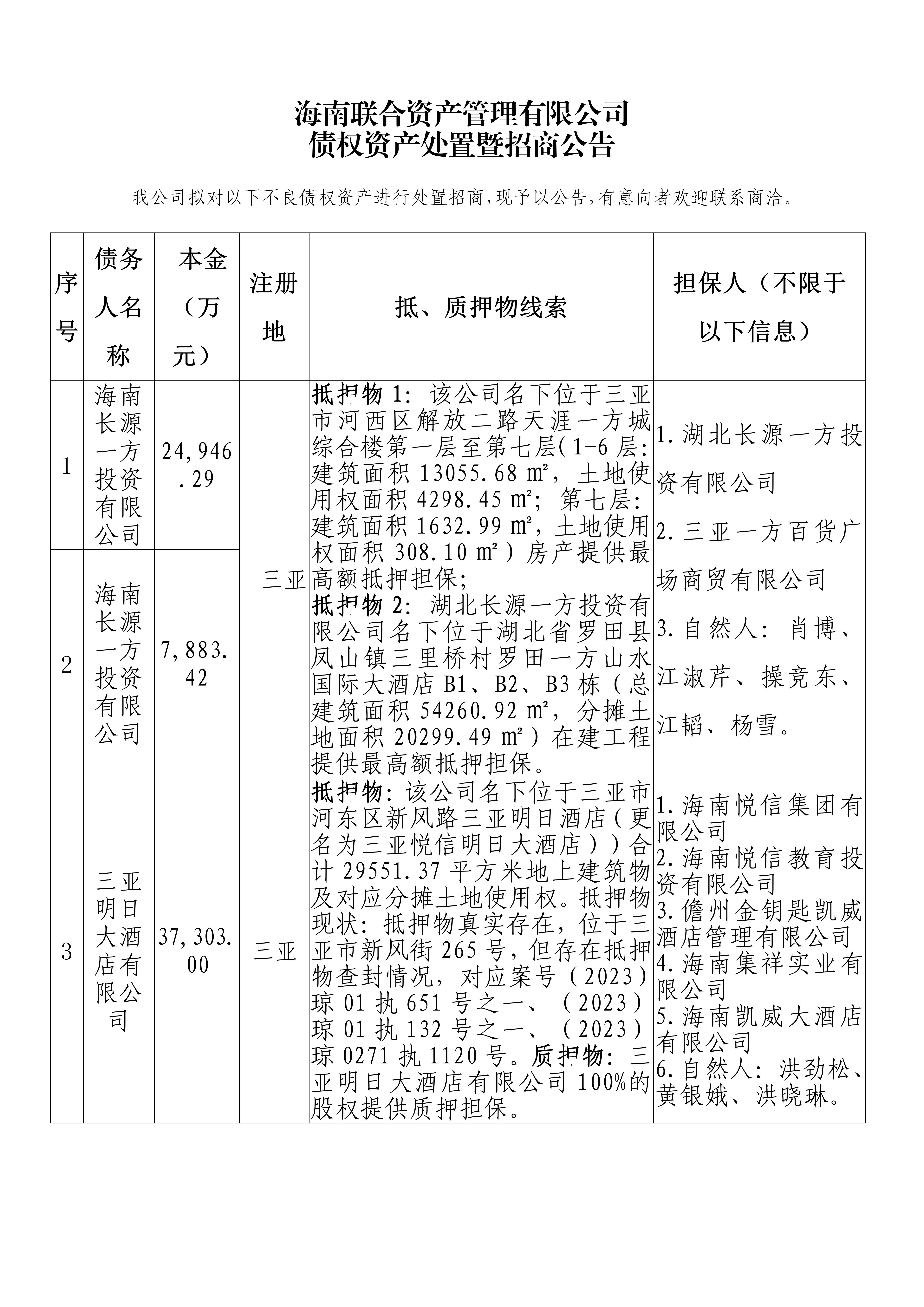 海南联合资产
