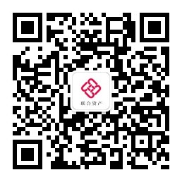 海南联合资产