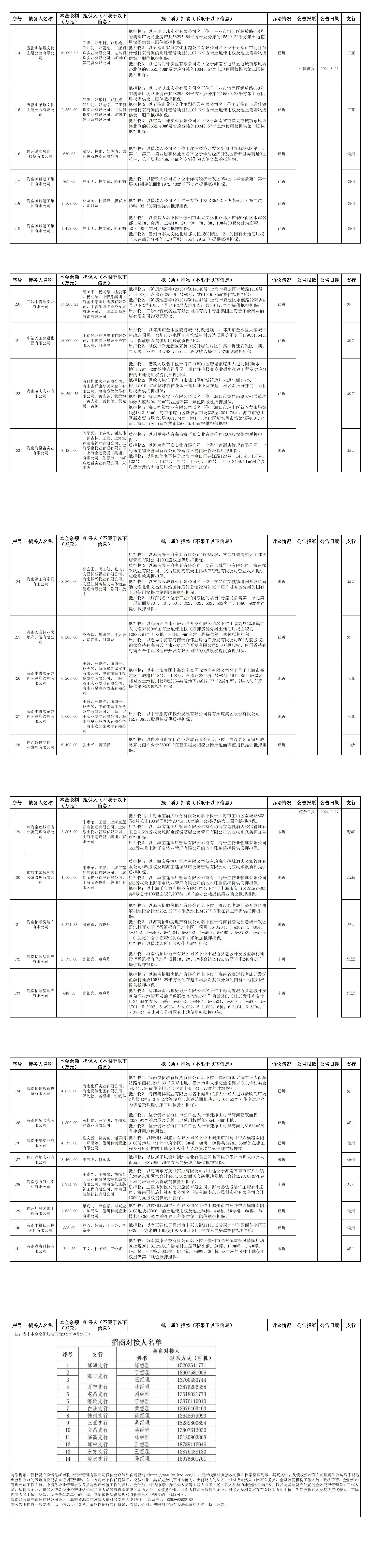 海南联合资产